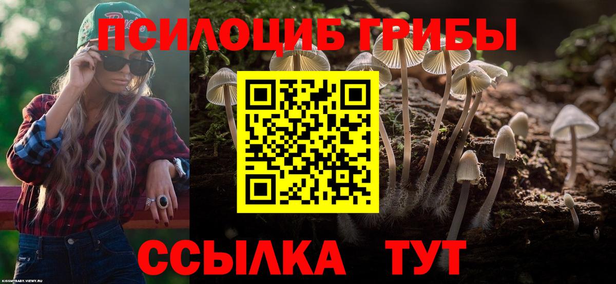 Черняховск  Псилоцибиновые грибы GOLDEN TEACHER  Вход с VPN 
