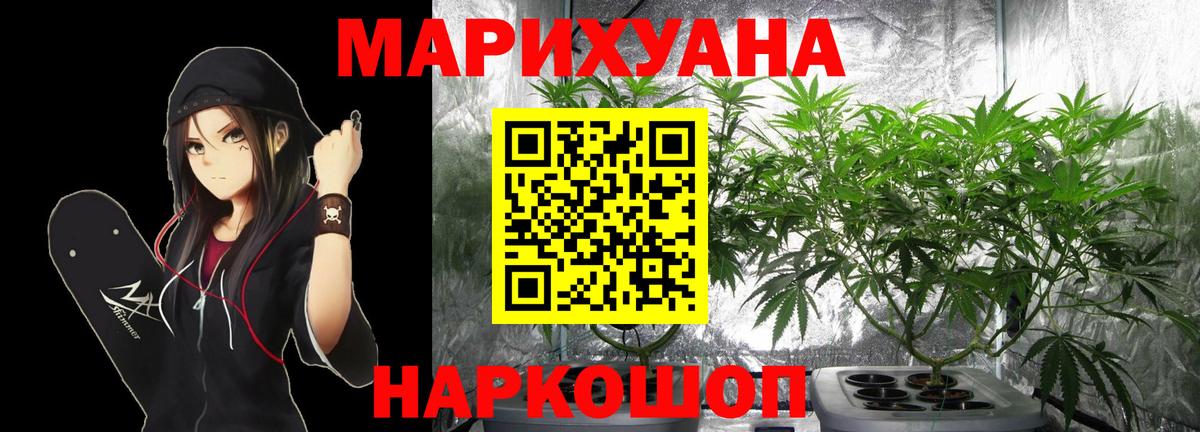 Шишки марихуана конопля  Каннабис марихуана  Черняховск  Вход с VPN 