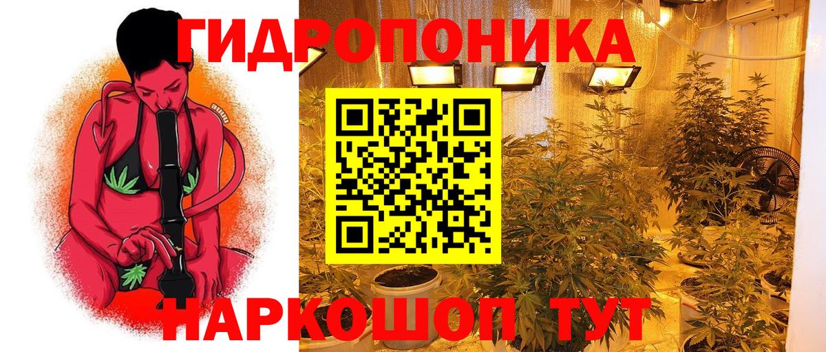 МАРИХУАНА планчик Черняховск